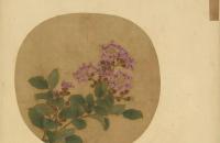 紫薇花的写意画法