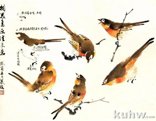 图文教程：写意花鸟画技法之鸣禽画法