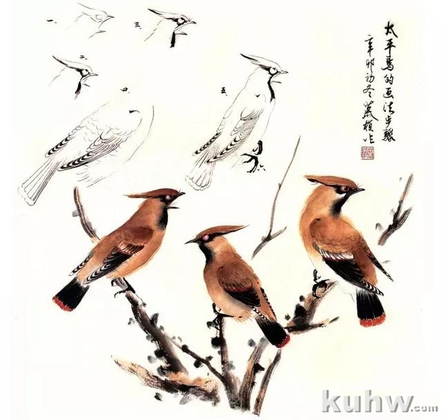 图文教程:写意花鸟画技法之鸣禽画法