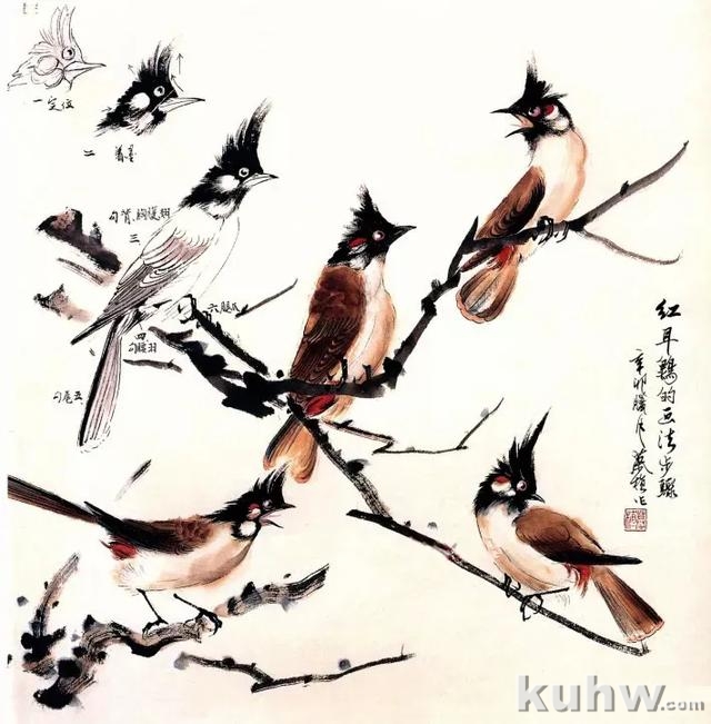 图文教程:写意花鸟画技法之鸣禽画法