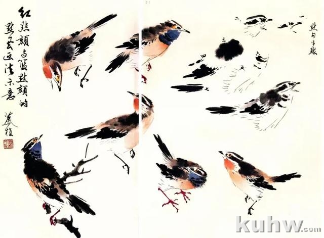 图文教程:写意花鸟画技法之鸣禽画法
