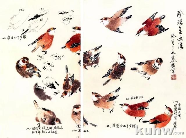 图文教程:写意花鸟画技法之鸣禽画法