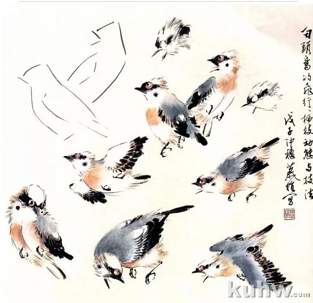 图文教程:写意花鸟画技法之鸣禽画法