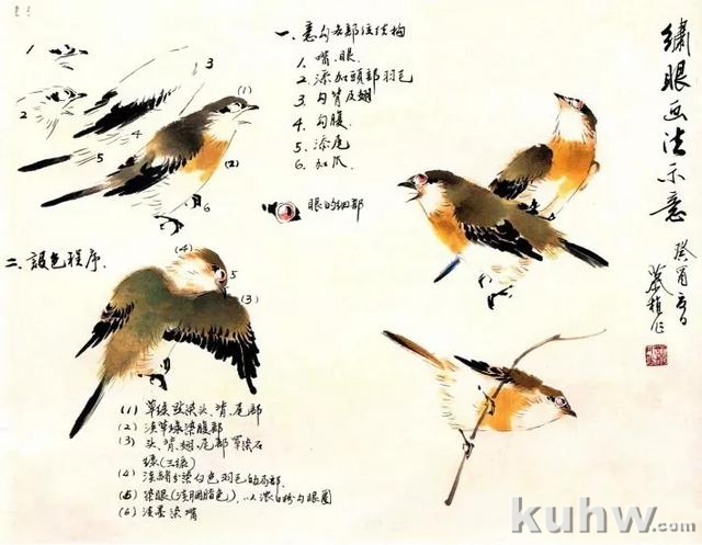 图文教程:写意花鸟画技法之鸣禽画法