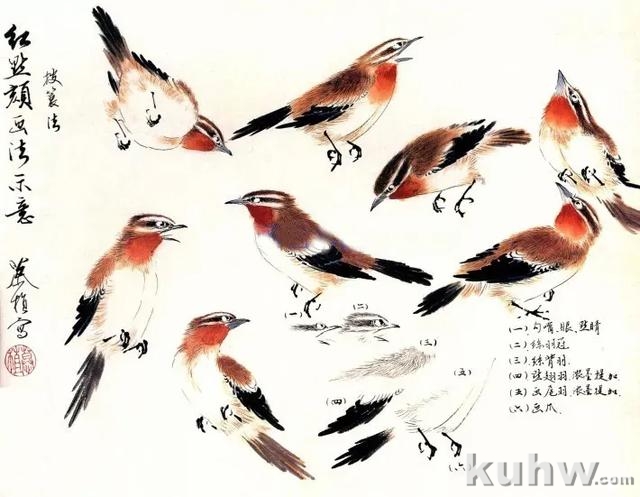 图文教程:写意花鸟画技法之鸣禽画法