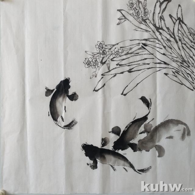 《鱼跃碧波》——墨鲤鱼和水仙的画法