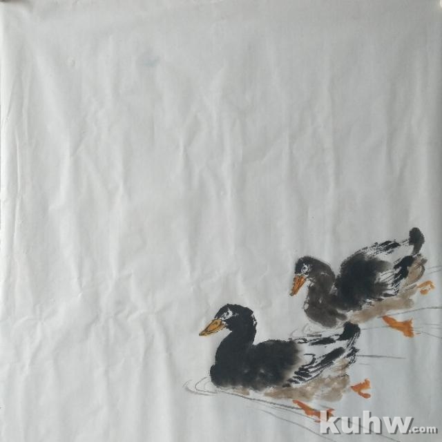 《秋水芙蓉》——中华绿鸭和白芙蓉的画法