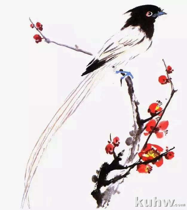 图文教程：常见鸣禽的画法