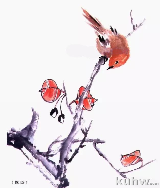 图文教程：常见鸣禽的画法