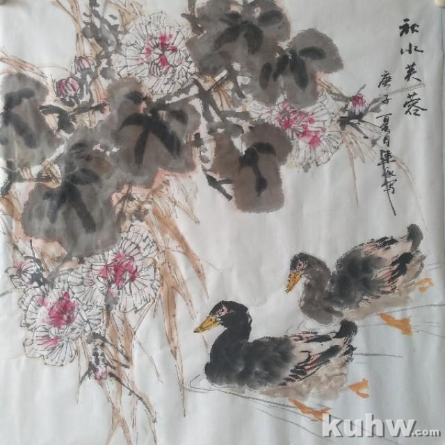 《秋水芙蓉》——中华绿鸭和白芙蓉的画法