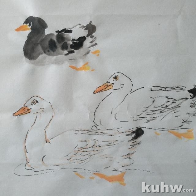 《伴侣》——鸭子与荷花的画法