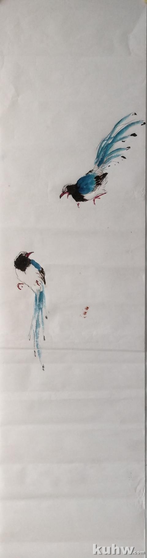 《红云一抹泛朝霞》——红嘴蓝鹊和樱花的画法