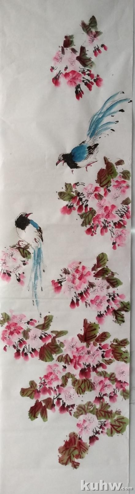 《红云一抹泛朝霞》——红嘴蓝鹊和樱花的画法