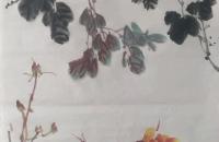 牡丹花和麻雀的画法