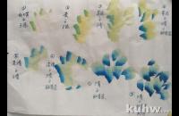 绿牡丹和绶带鸟的画法