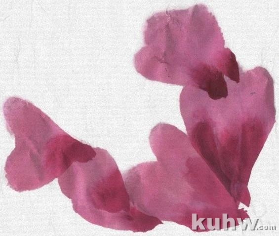 图文教程:写意牡丹花头画法详细步骤