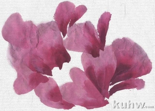 图文教程:写意牡丹花头画法详细步骤