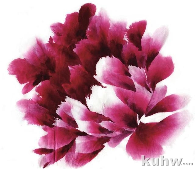 图文教程:写意牡丹花头画法详细步骤