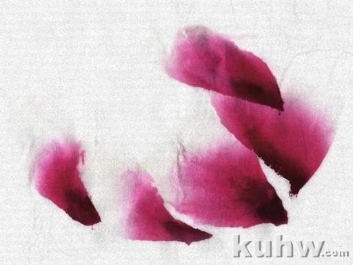 图文教程:写意牡丹花头画法详细步骤