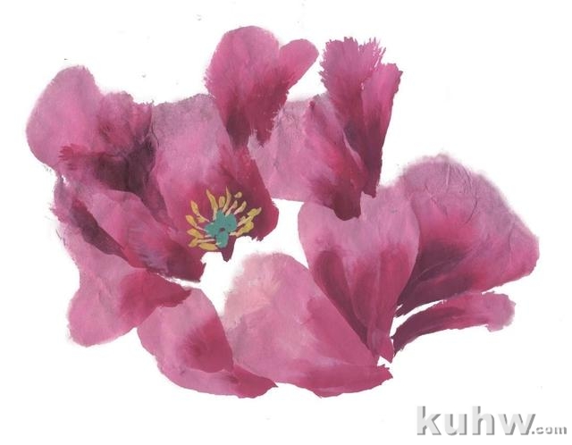 图文教程:写意牡丹花头画法详细步骤