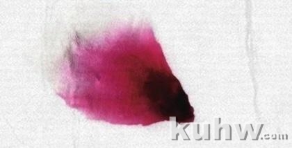 图文教程:写意牡丹花头画法详细步骤