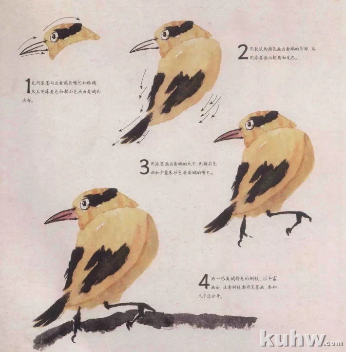 图文教程：轻松学画几种写意鸟