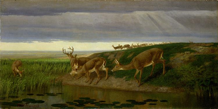 威廉·霍尔布鲁克·比尔德（ William Holbrook Beard）-草原上的鹿油画