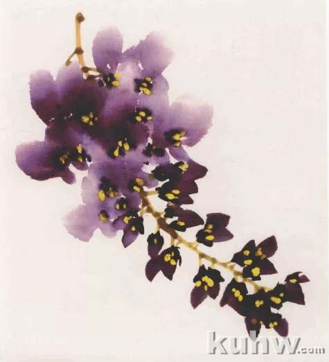 图文教程:写意紫藤花画法