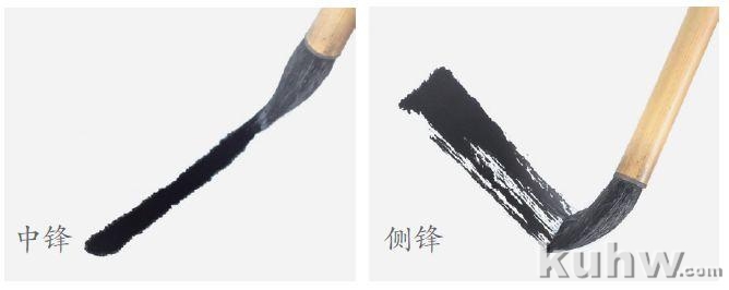 图文教程:一学就会画萌萌的熊猫和可爱的小鹿