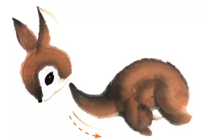 图文教程:一学就会画萌萌的熊猫和可爱的小鹿