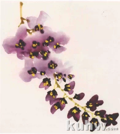图文教程:写意紫藤花画法