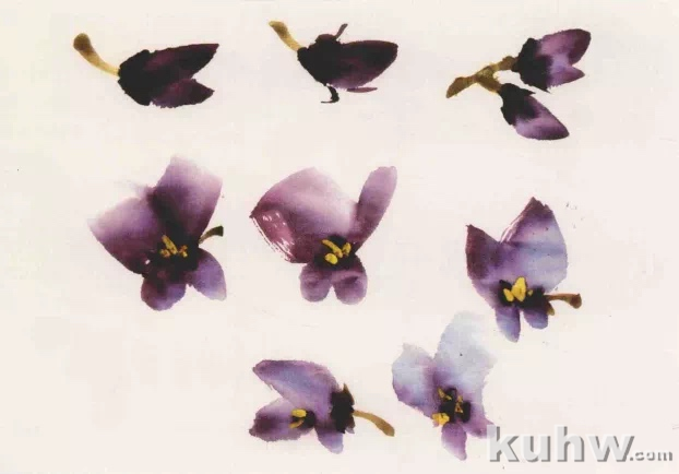 图文教程:写意紫藤花画法