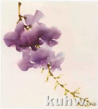图文教程:写意紫藤花画法