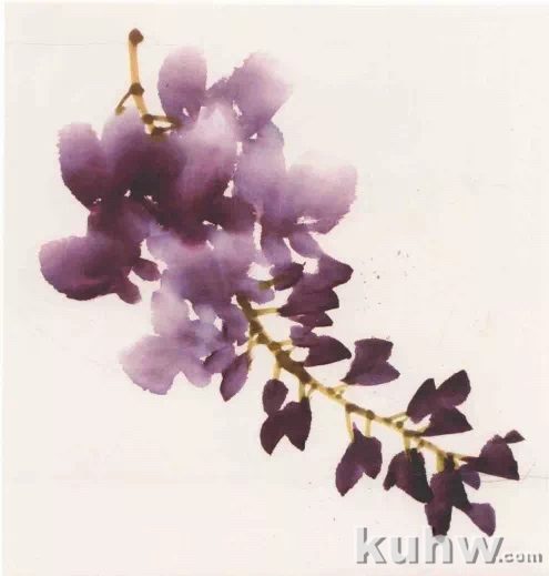 图文教程:写意紫藤花画法