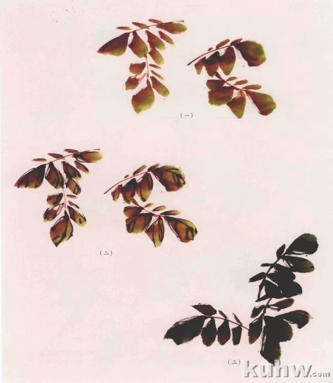 图文教程:写意紫藤花画法