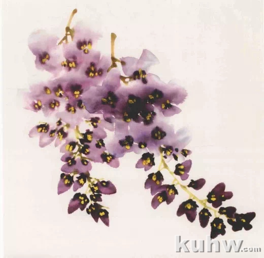 图文教程:写意紫藤花画法