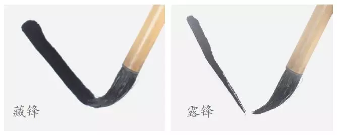 图文教程:一学就会画萌萌的熊猫和可爱的小鹿