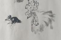 绶带鸟和秋叶的画法