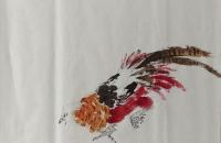 锦鸡和牡丹花作品步骤图解