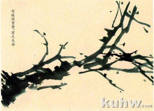 梅花枝干的画法