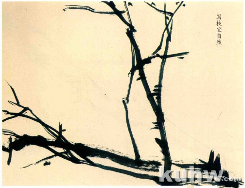 梅花枝干的画法