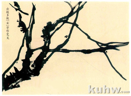 梅花枝干的画法