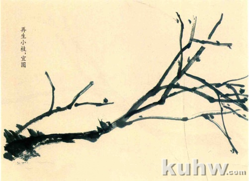 梅花枝干的画法