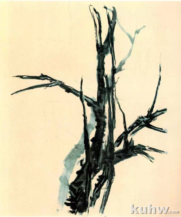 梅花枝干的画法