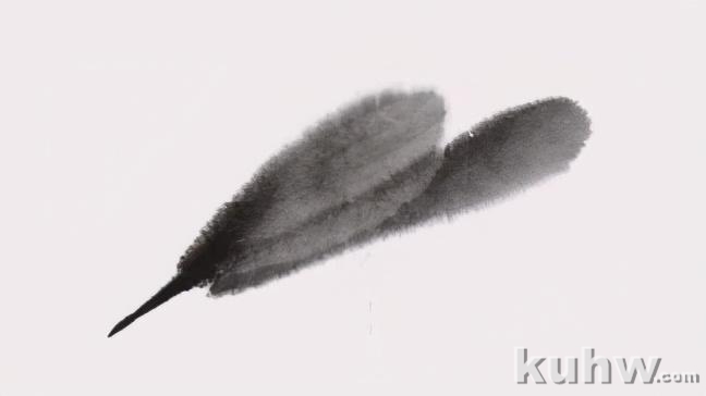 图文教程:水墨写意虾画法步骤