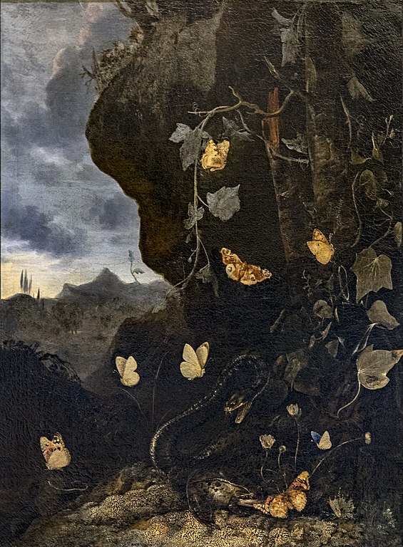 奥托·马修斯·范·施里克  （Otto Marseus van Schrieck）-蛇，蟾蜍和蝴蝶油画