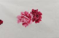 牡丹鲤鱼写意画法