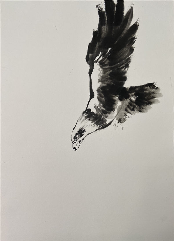 小写意《鹰击长空》的画法和详细步骤图,喜欢国画的朋友收藏了