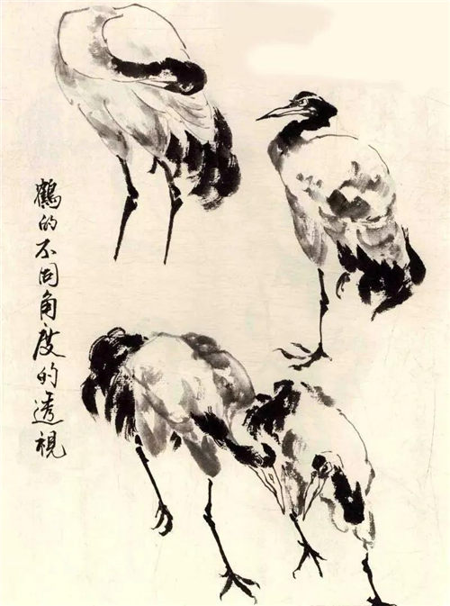 「国画图文教程」松鹤画法