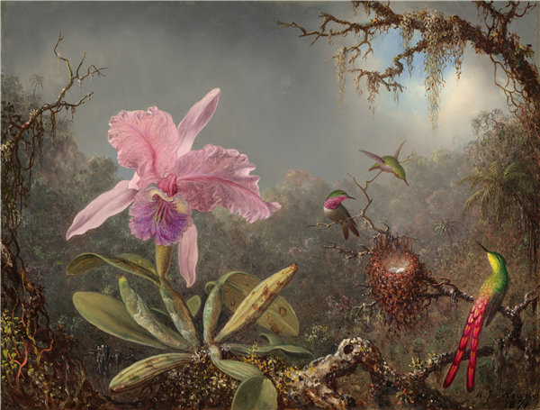 马丁·约翰逊·海德（Martin Johnson Heade）-卡特兰兰花和三只蜂鸟 1871年油画